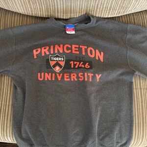 Princeton champion sweater